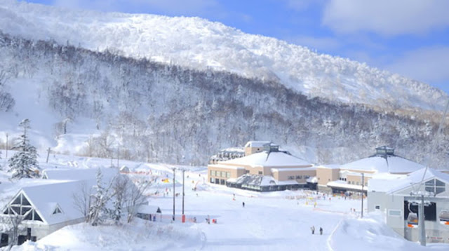 北海道赤井川村喜來登渡假酒店 Sheraton Hokkaido Kiroro Resort