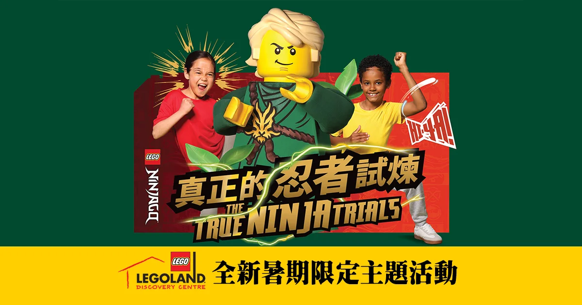 lego 260713